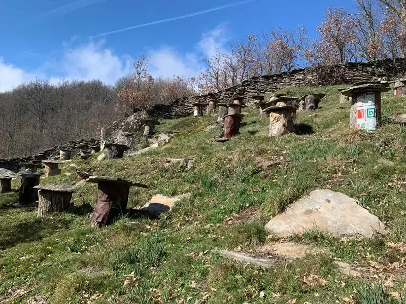 Relájate en un entorno rural único, lejos del ruido de la ciudad