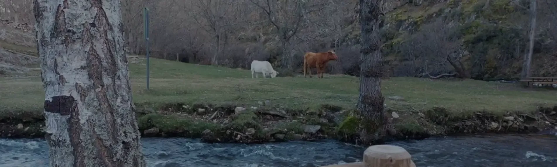 Rutas y y naturaleza: descubre todo lo que ofrece La Hiruela
