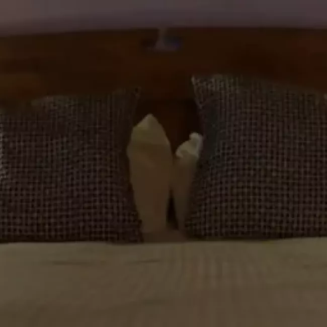 Descubre las comodidades y servicios que ofrecemos en El Tinao de La Hiruela