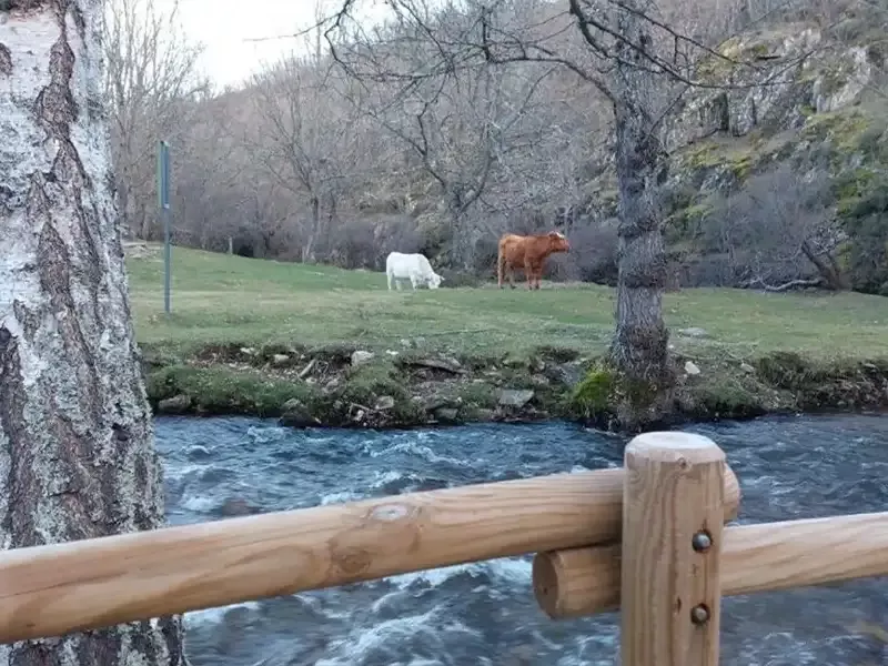 aisaje natural que rodea la casa rural El Tinao de La Hiruela